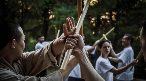εικόνα άρθρου