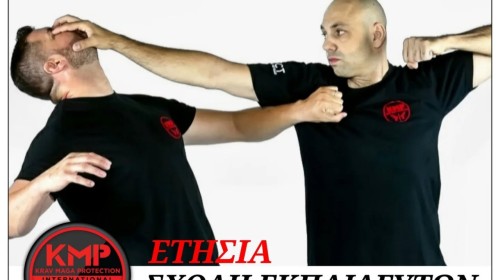 εικόνα άρθρου