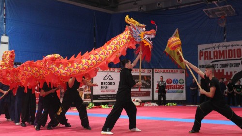 εικόνα άρθρου