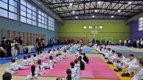 εικόνα άρθρου