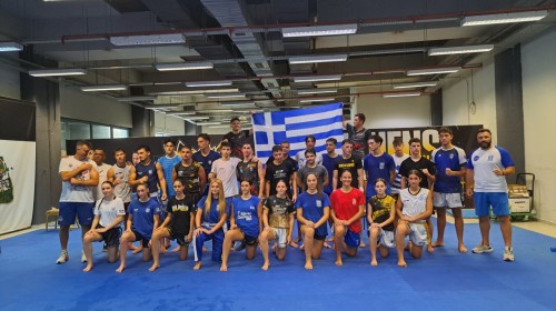 εικόνα άρθρου