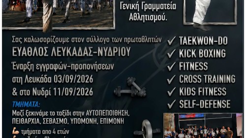 εικόνα άρθρου