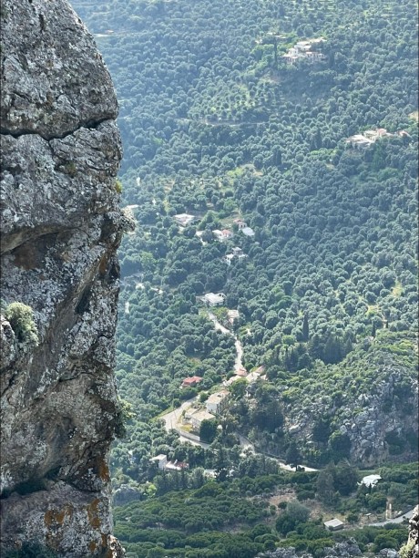 εικόνα άρθρου